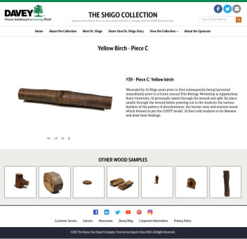 Shigo Collection Website