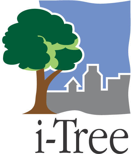 i-Tree Identity Servicemark - Davey Tree