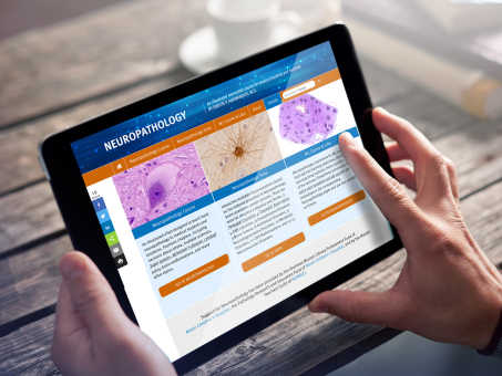 Web Redesign - Neuropathology Interactive Course