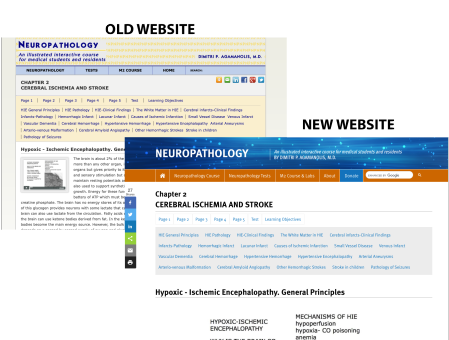 Neuropathology Responsive Web Redesign