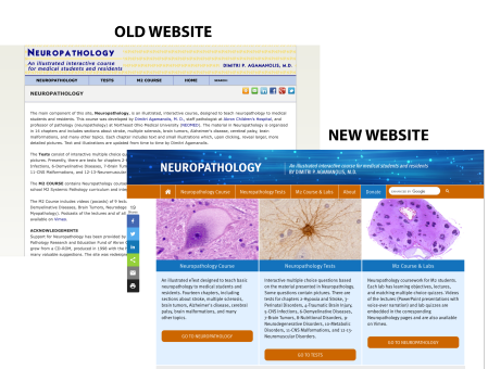 Viewing the Neuropathology Website on an iPad