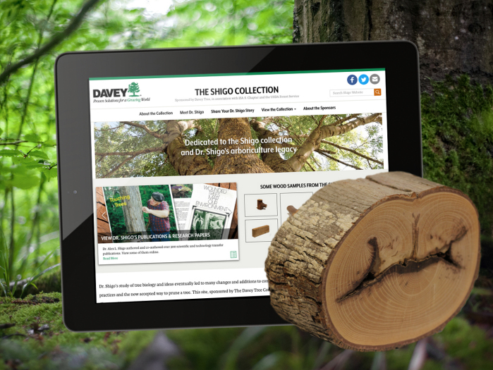 Shigo Collection Website - Davey Tree